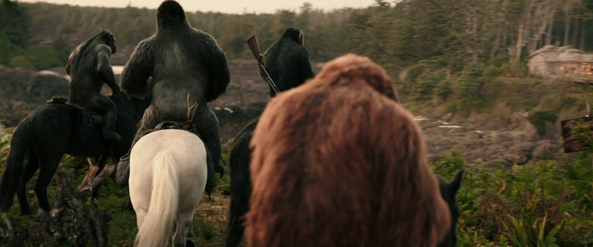 War for the Planet of the Apes (2017) HD screenshot 3197