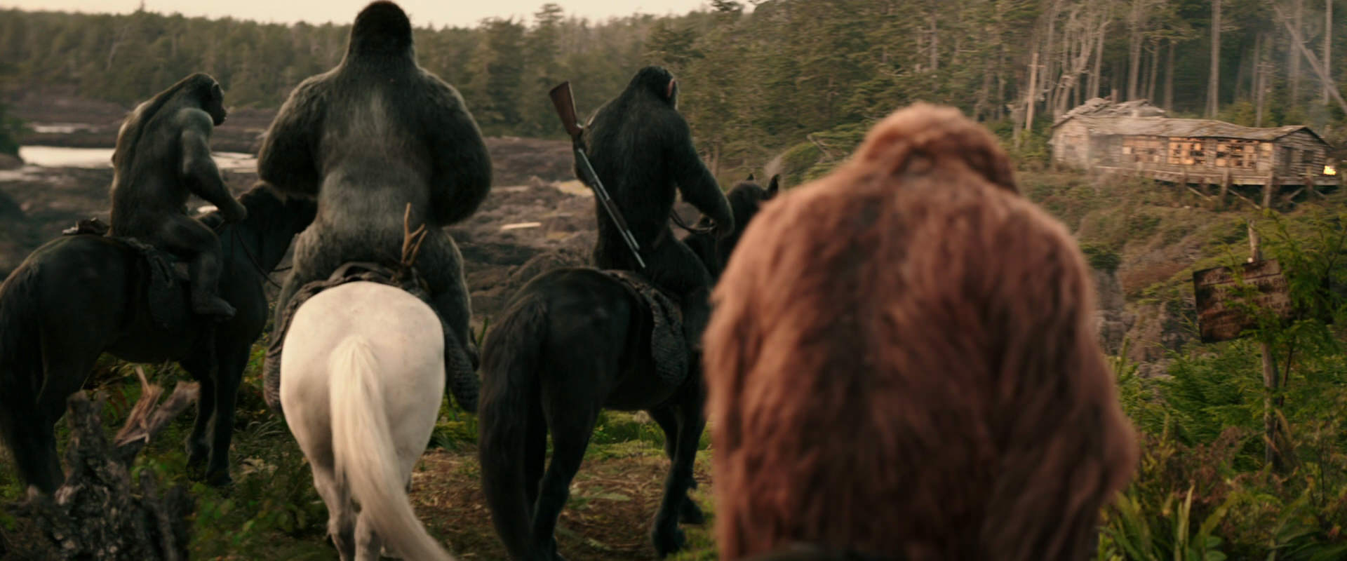 War for the Planet of the Apes (2017) screencap 3198