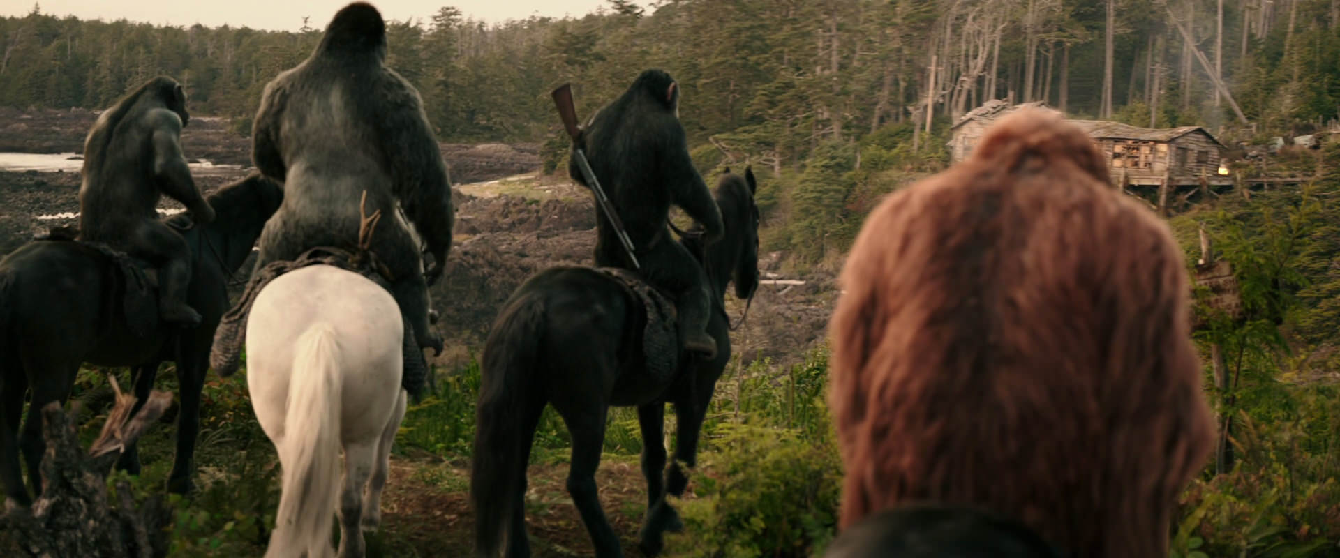 War for the Planet of the Apes (2017) movie still 3199