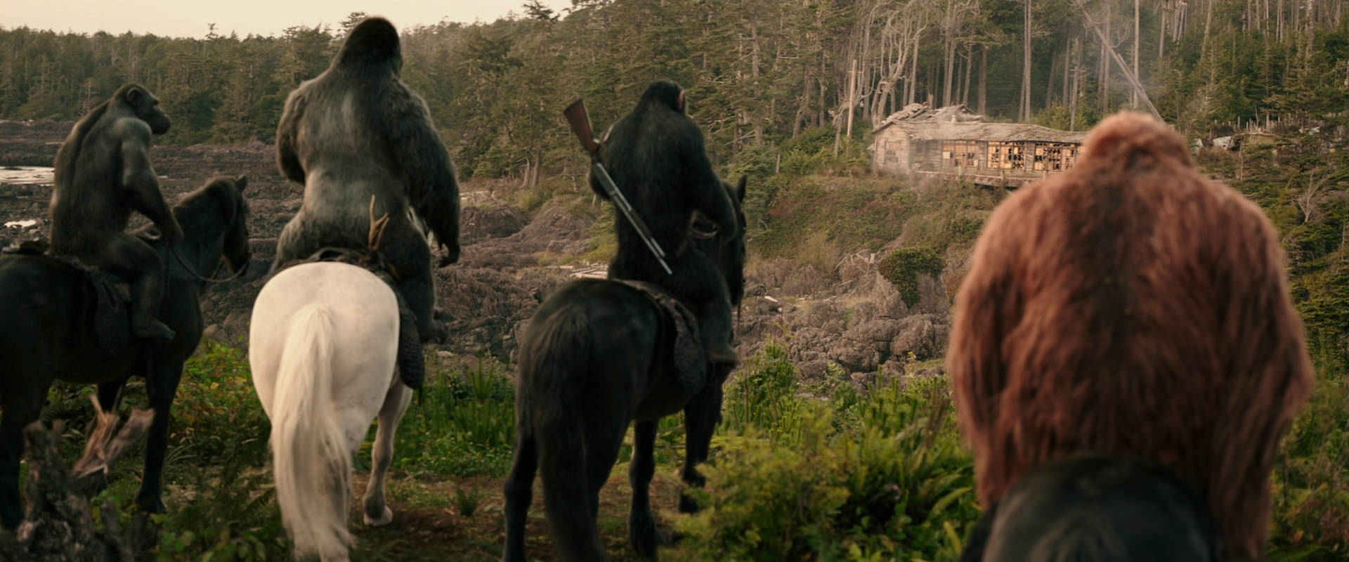 War for the Planet of the Apes (2017) screencap 3201