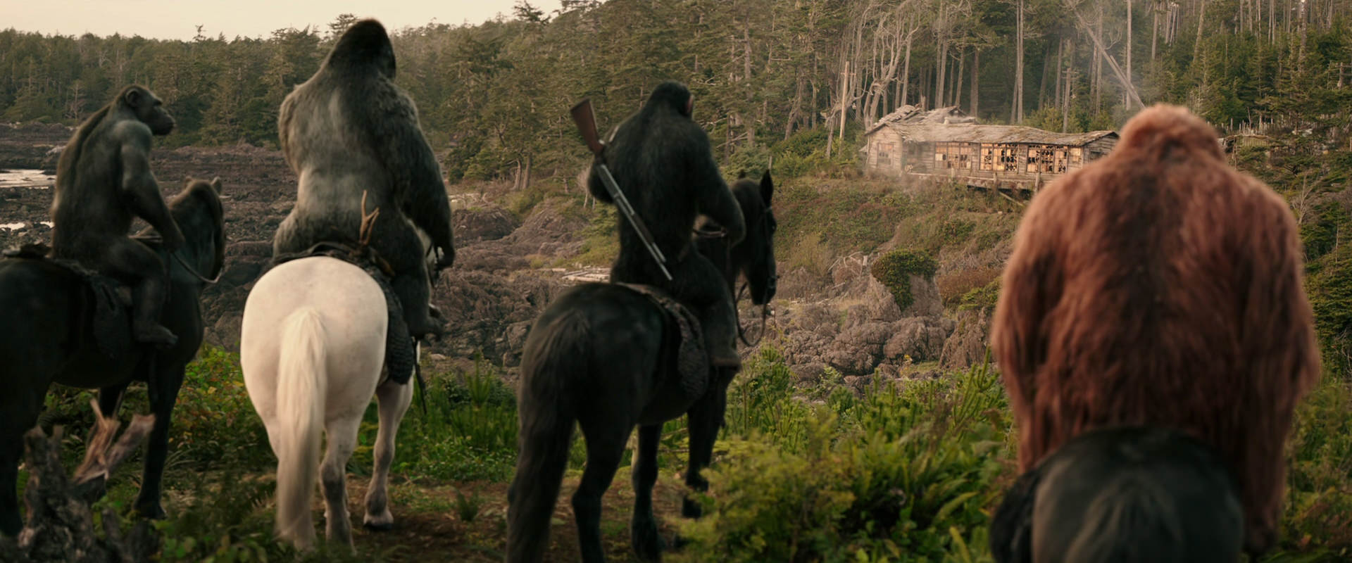 War for the Planet of the Apes (2017) movie still 3202
