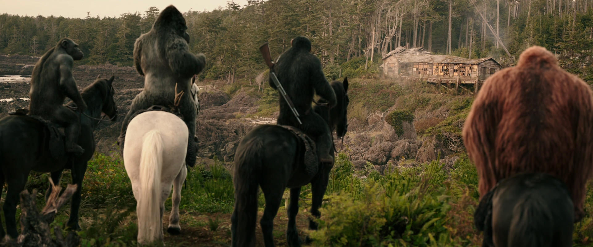 War for the Planet of the Apes (2017) screencap 3204