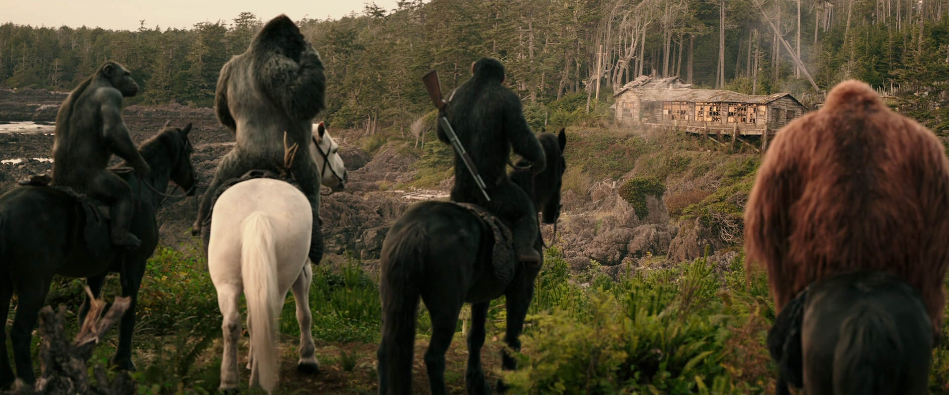 War for the Planet of the Apes (2017) movie still 3205
