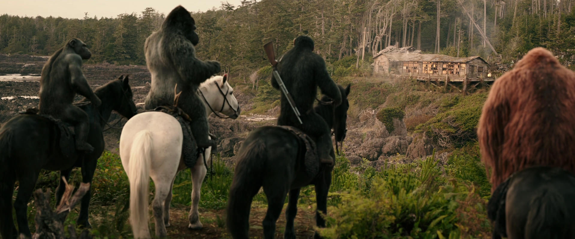 War for the Planet of the Apes (2017) movie still 3208