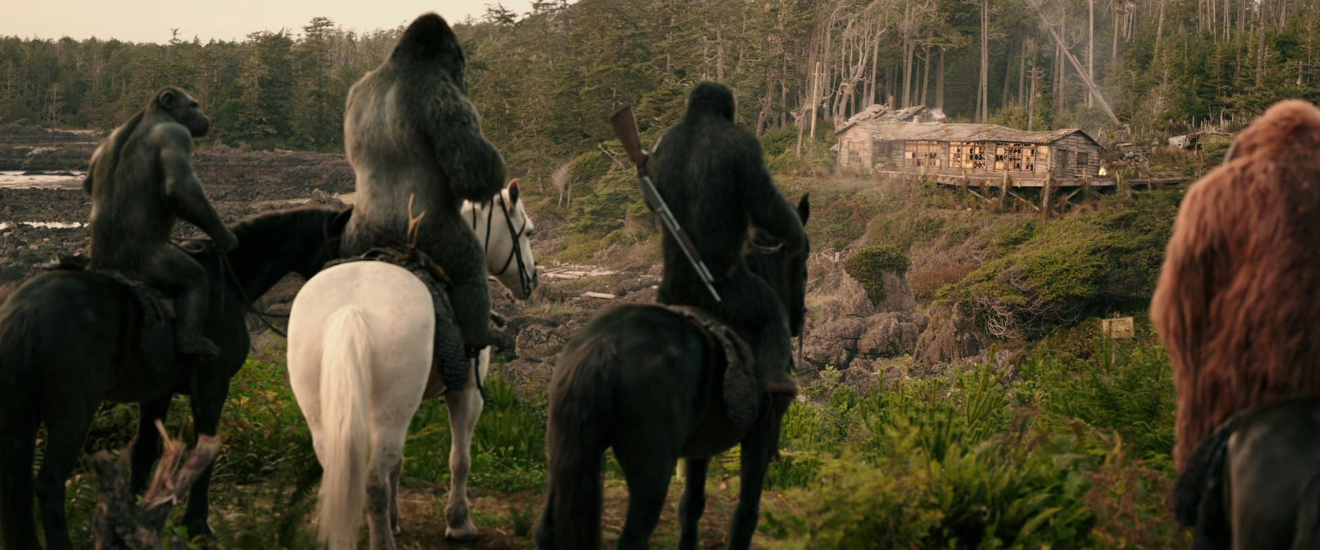 War for the Planet of the Apes (2017) screencap 3213