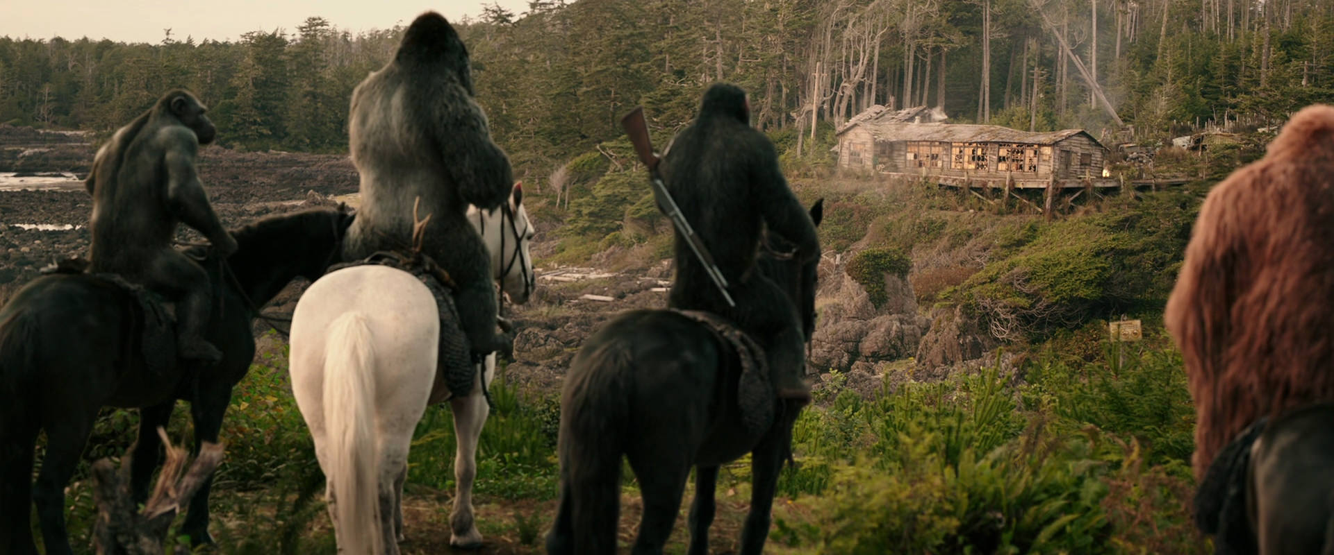 War for the Planet of the Apes (2017) movie still 3214