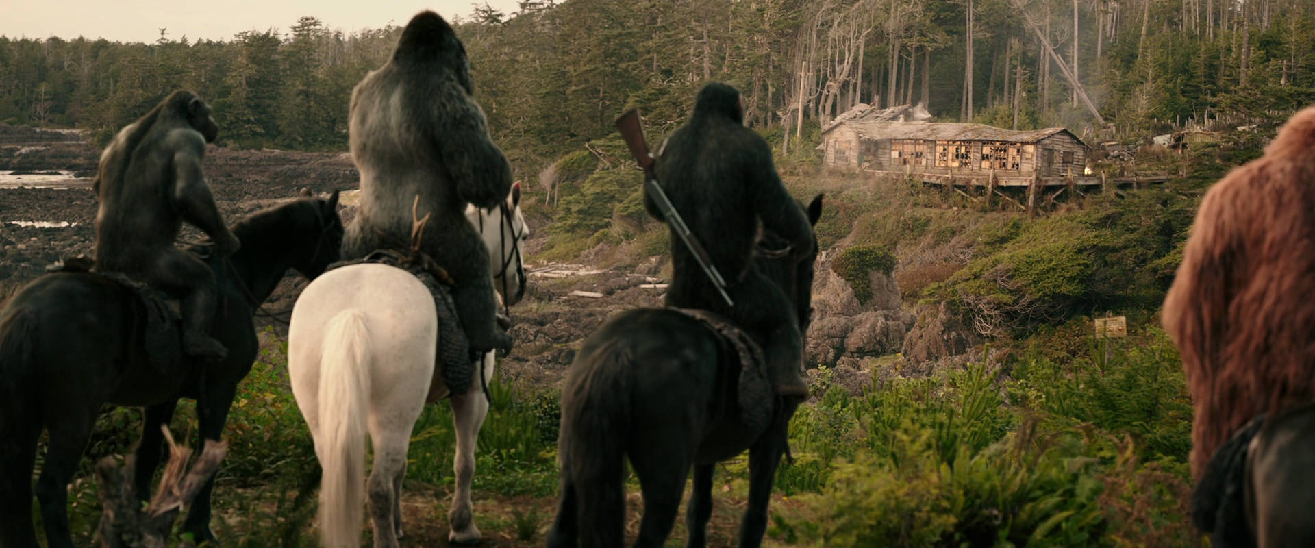War for the Planet of the Apes (2017) HD screenshot 3215