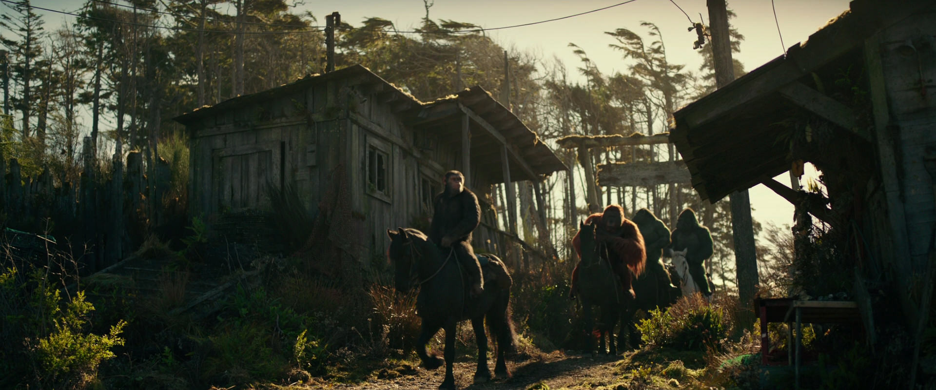 War for the Planet of the Apes (2017) HD screenshot 3224