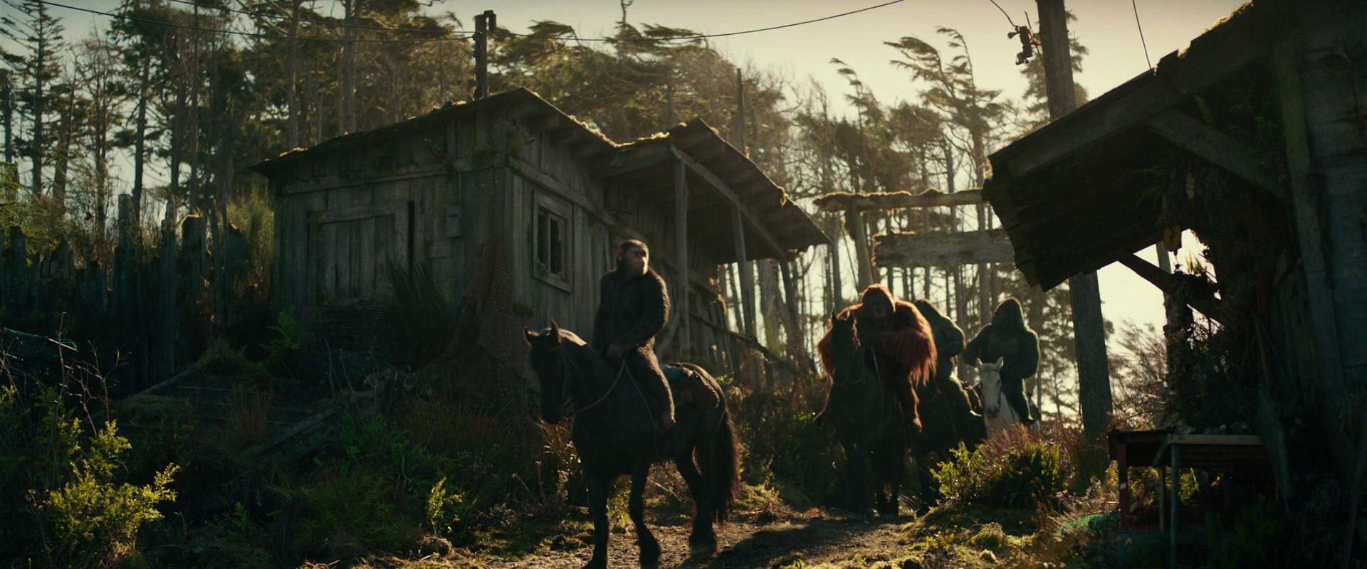 War for the Planet of the Apes (2017) screencap 3225