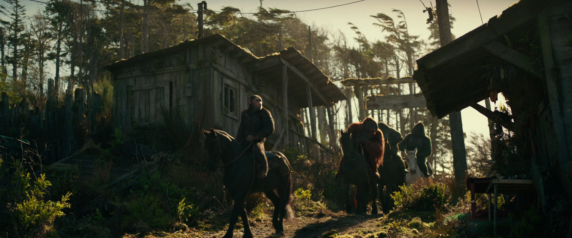 War for the Planet of the Apes (2017) movie still 3226
