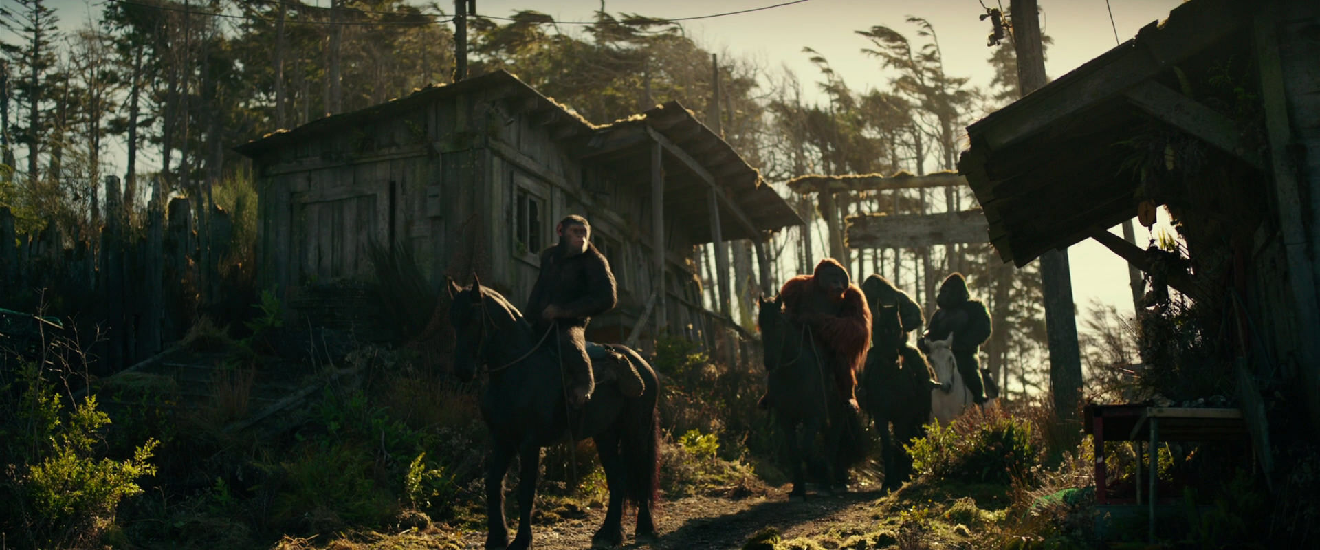 War for the Planet of the Apes (2017) HD screenshot 3227