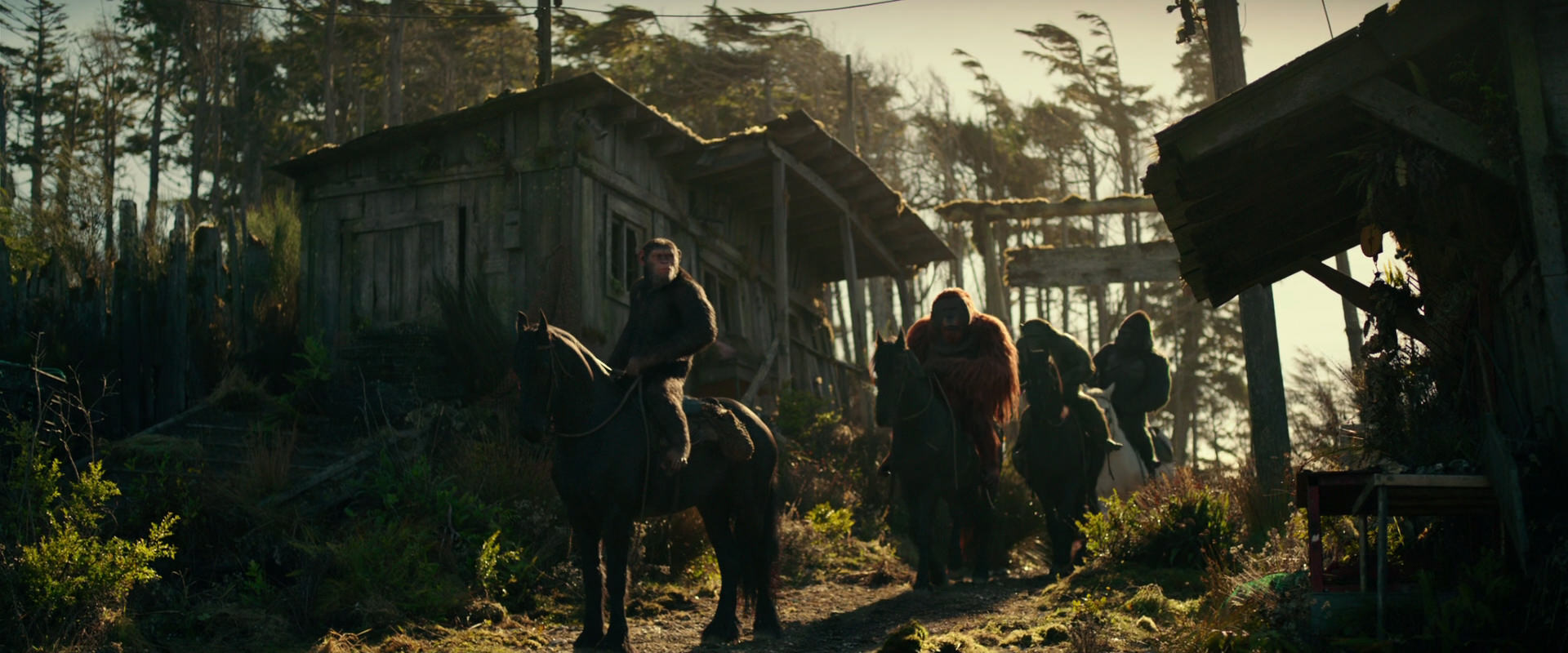 War for the Planet of the Apes (2017) screencap 3228