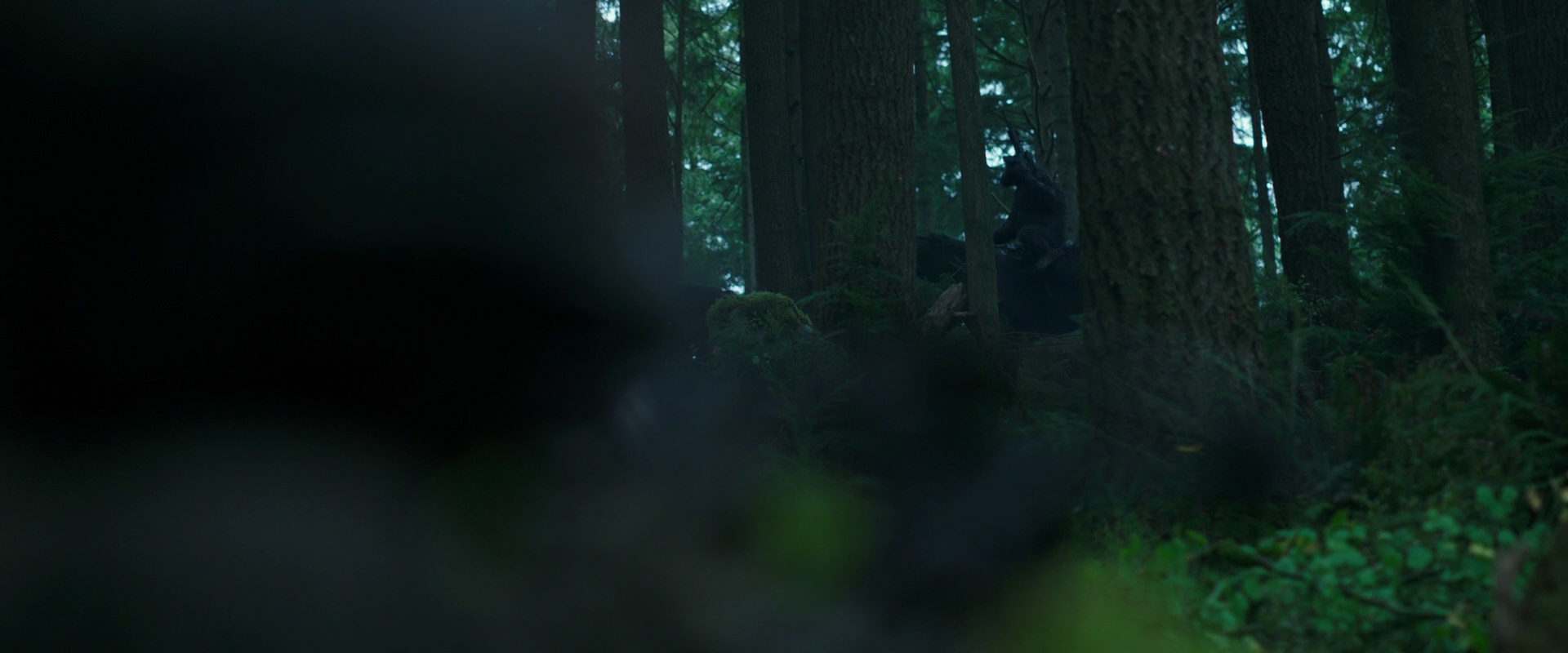 War for the Planet of the Apes (2017) HD screenshot 323