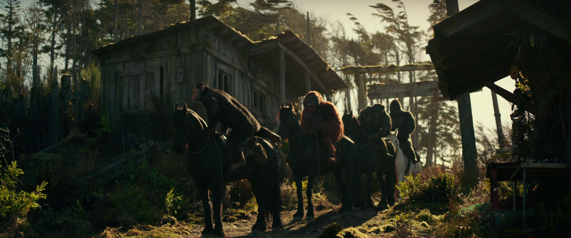 War for the Planet of the Apes (2017) movie still 3232
