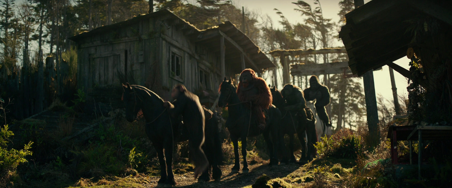 War for the Planet of the Apes (2017) HD screenshot 3233