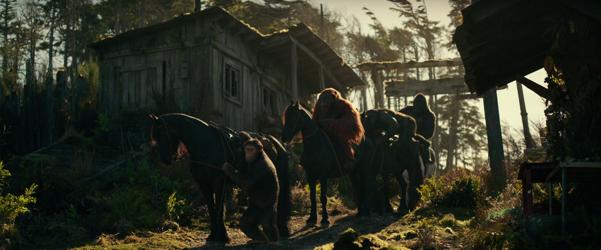 War for the Planet of the Apes (2017) screencap 3234