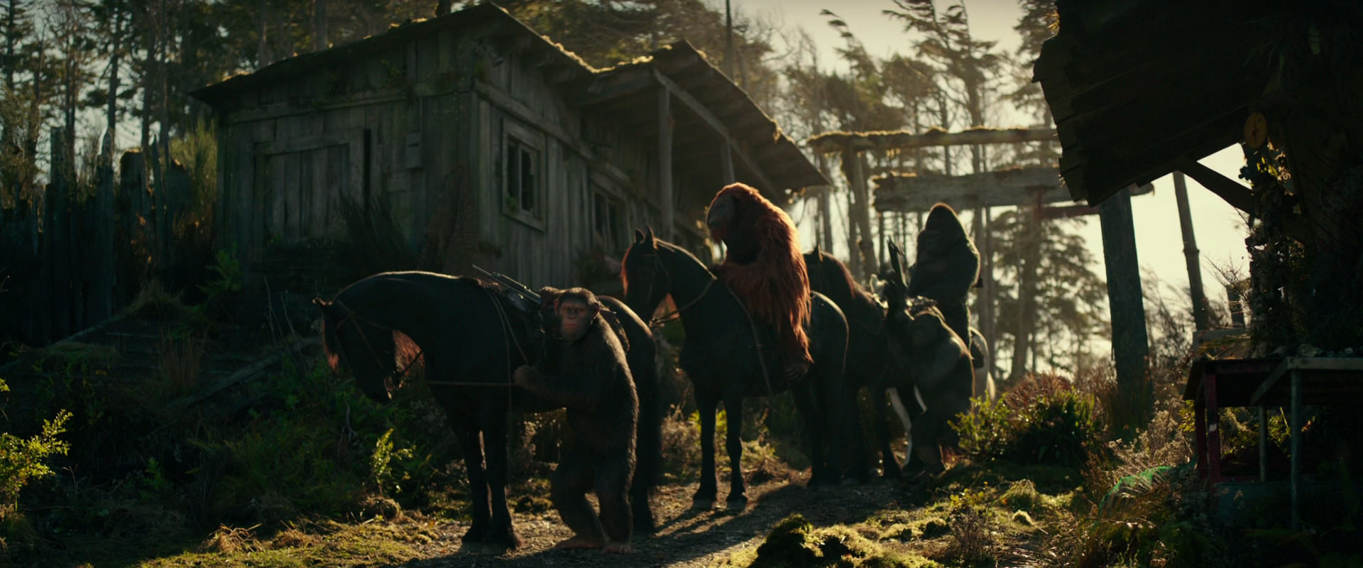 War for the Planet of the Apes (2017) movie still 3235