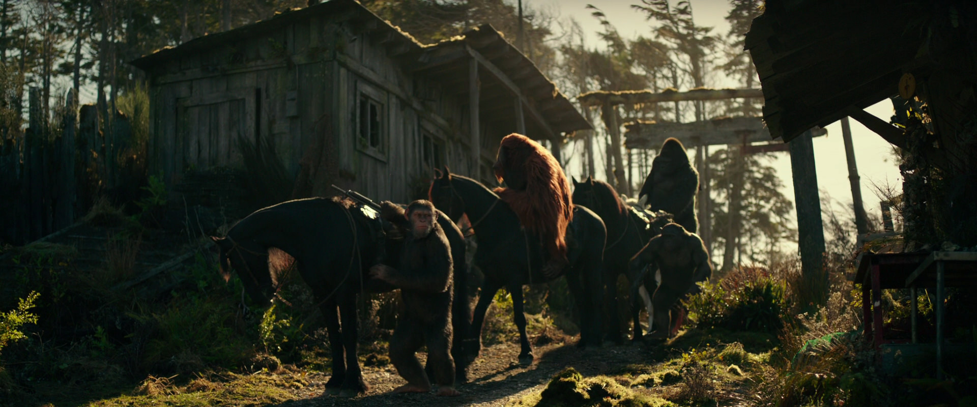 War for the Planet of the Apes (2017) HD screenshot 3236