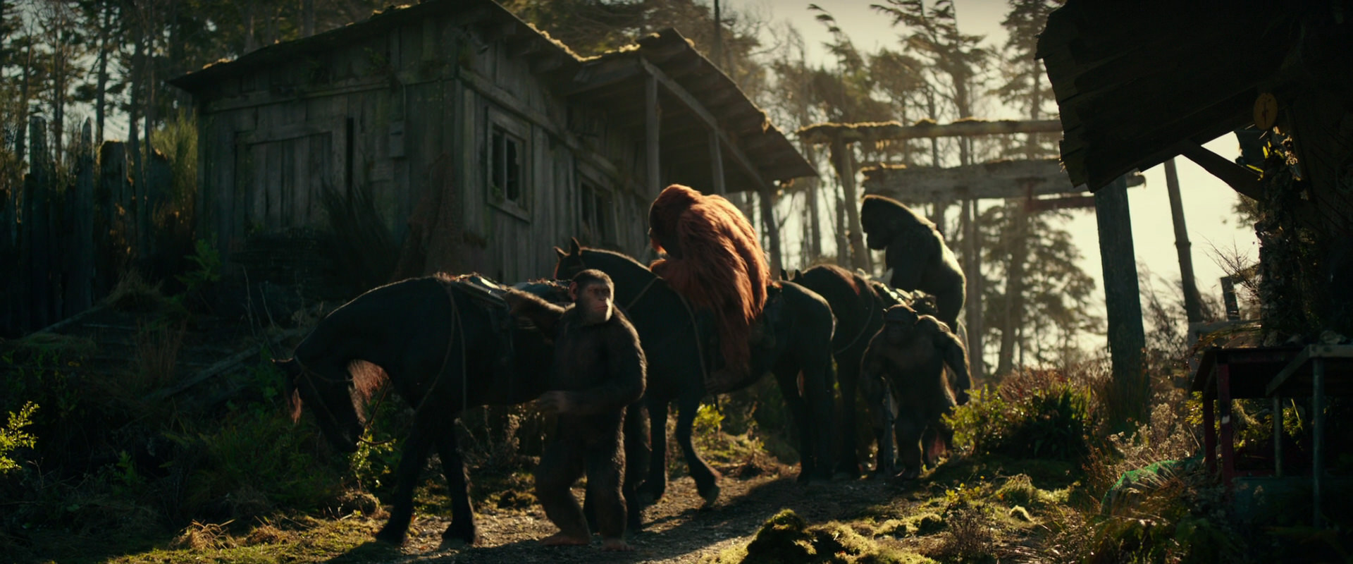 War for the Planet of the Apes (2017) screencap 3237
