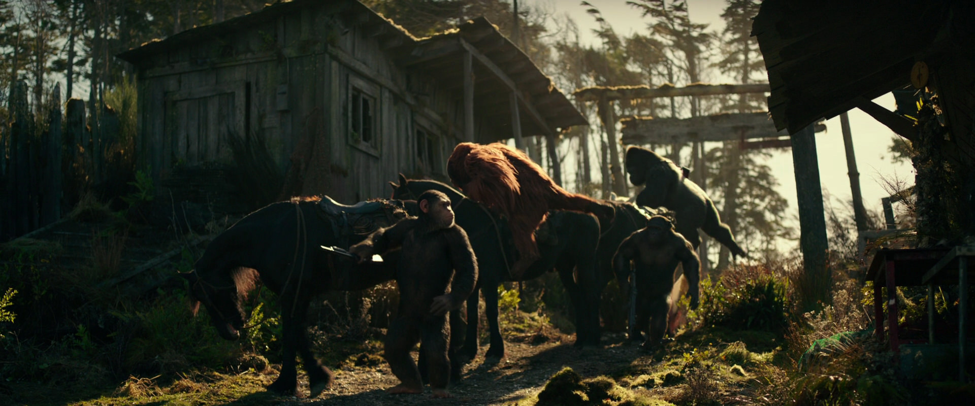 War for the Planet of the Apes (2017) movie still 3238