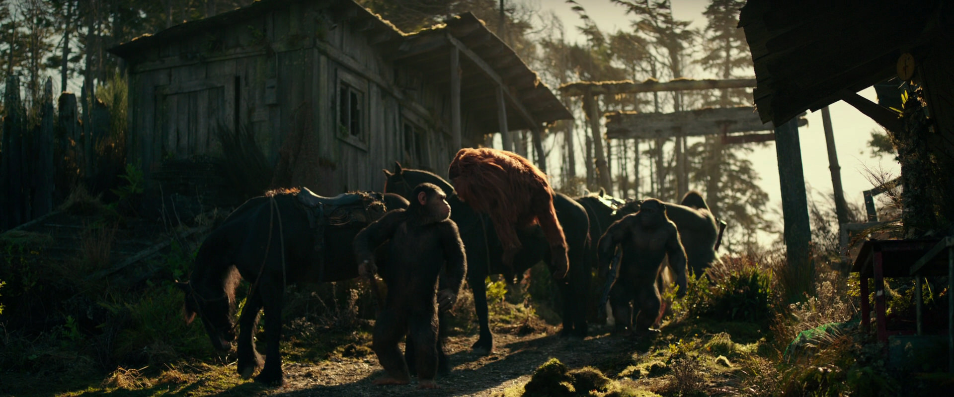 War for the Planet of the Apes (2017) HD screenshot 3239