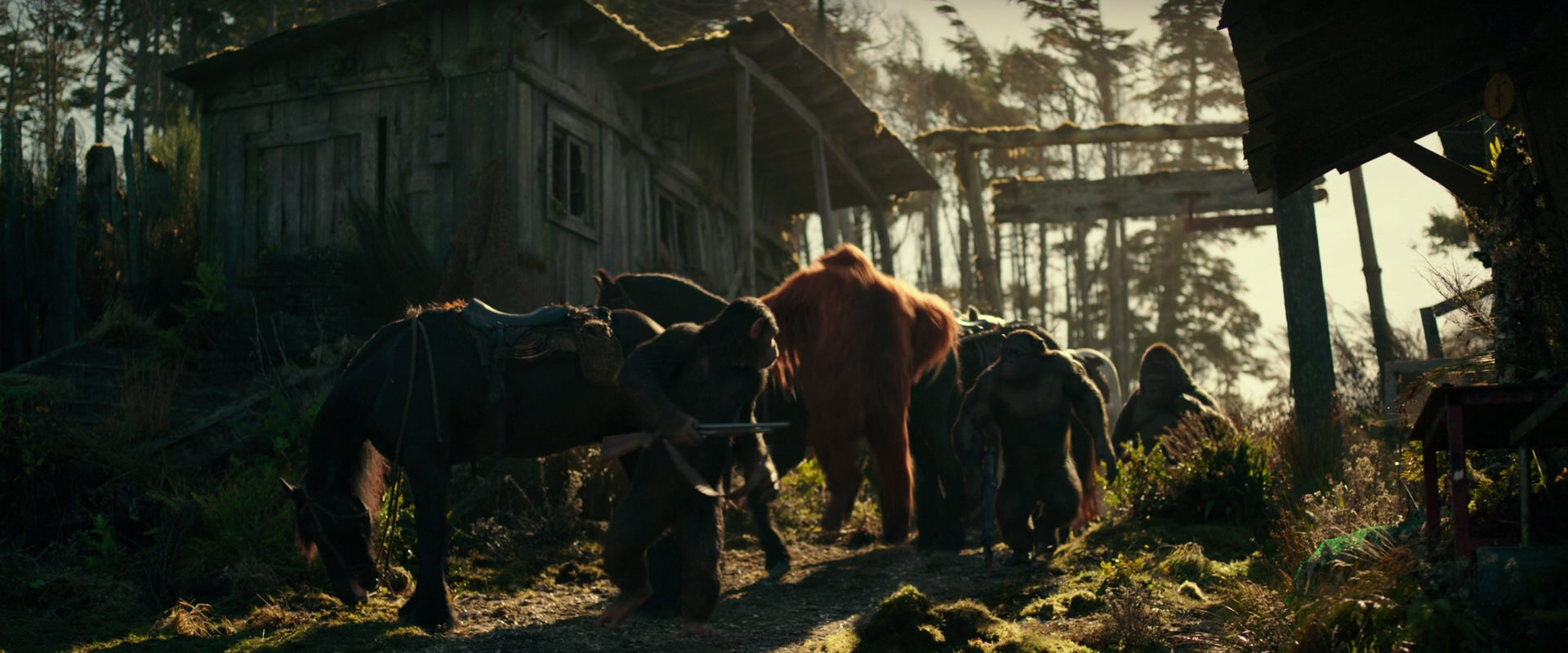War for the Planet of the Apes (2017) screencap 3240