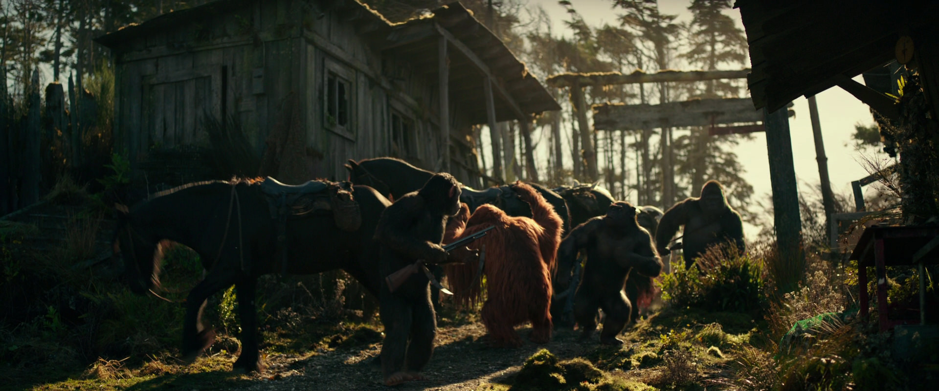 War for the Planet of the Apes (2017) movie still 3241