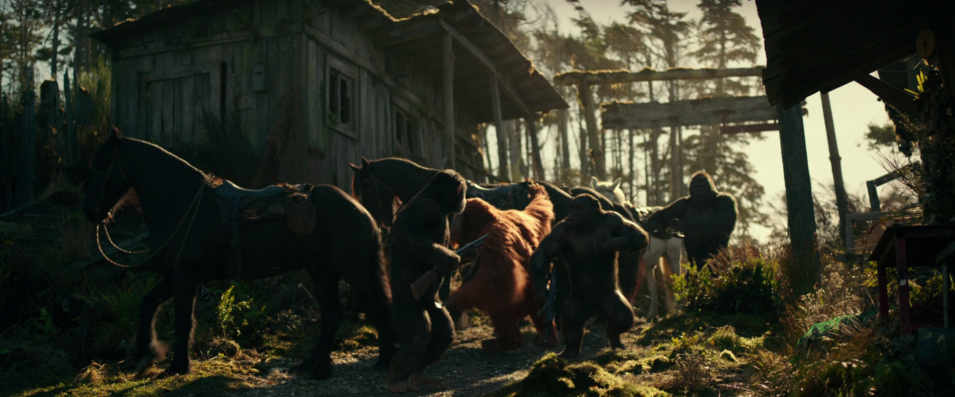 War for the Planet of the Apes (2017) HD screenshot 3242