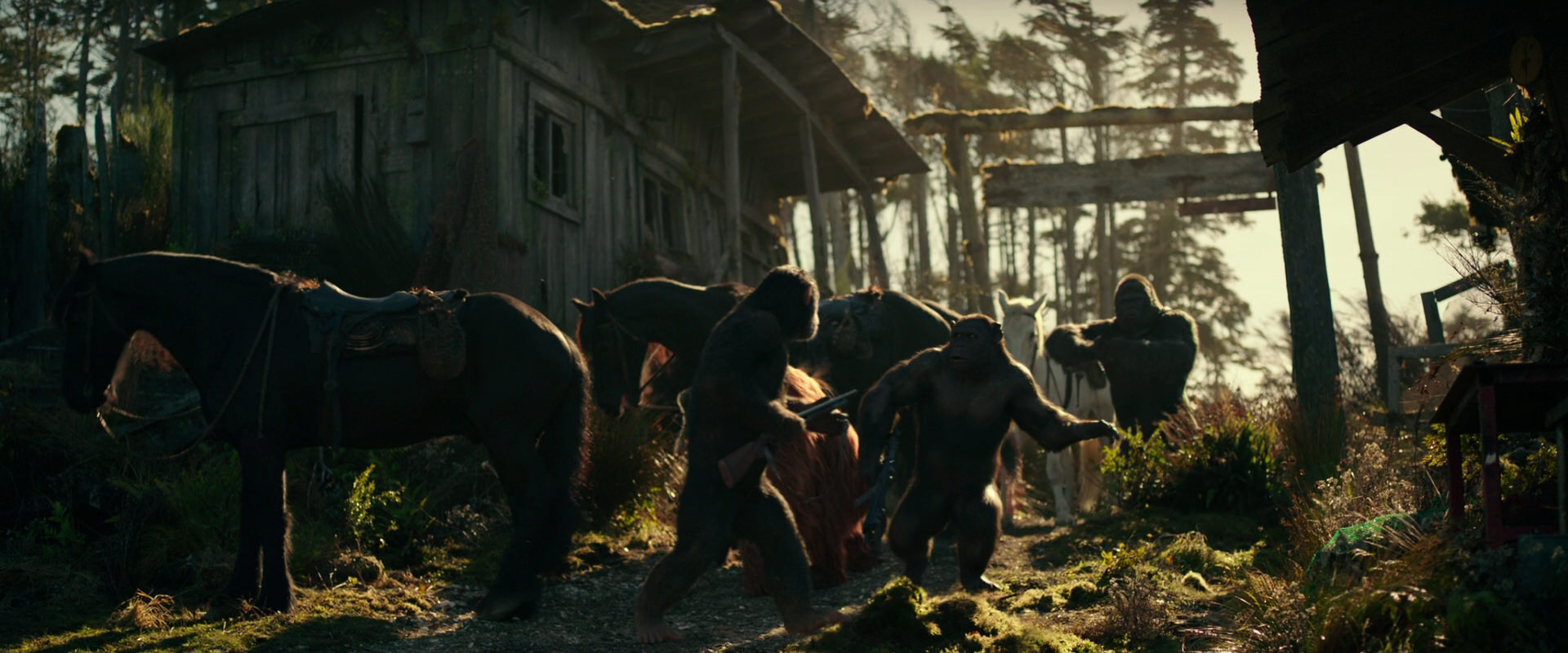 War for the Planet of the Apes (2017) screencap 3243