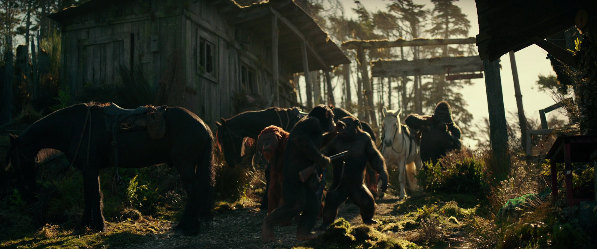 War for the Planet of the Apes (2017) movie still 3244