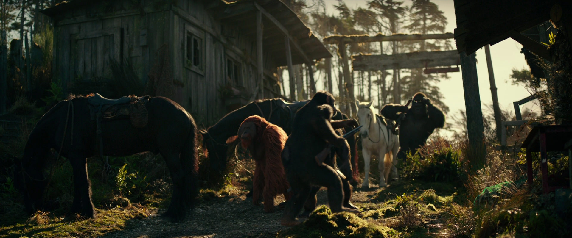 War for the Planet of the Apes (2017) HD screenshot 3245