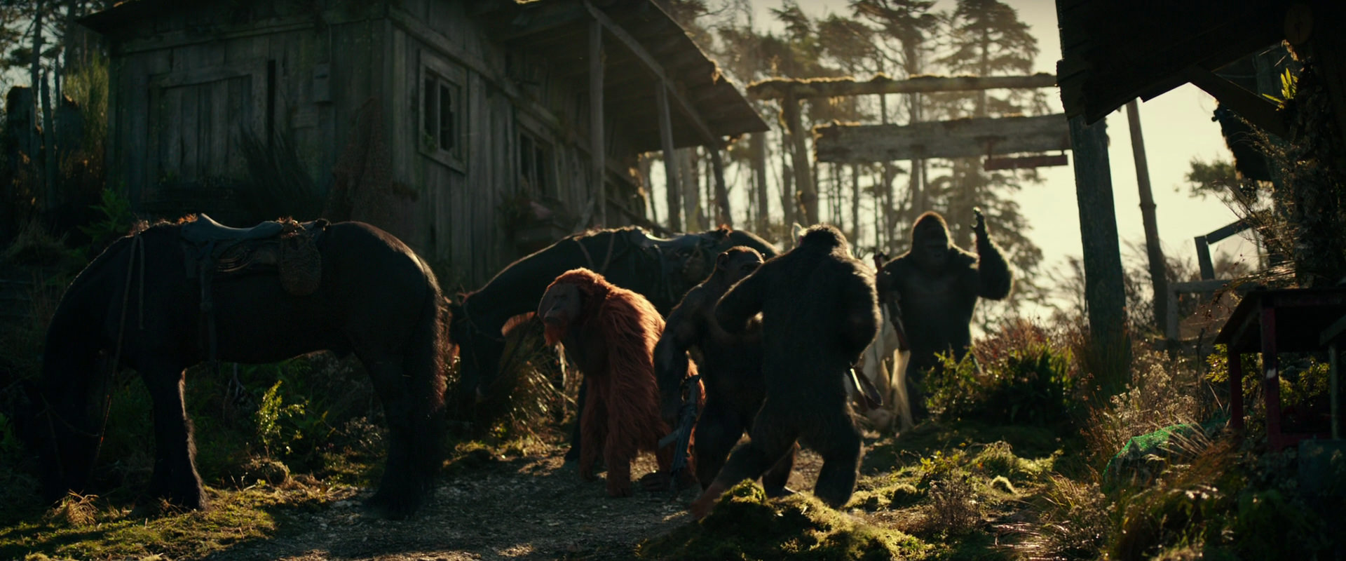 War for the Planet of the Apes (2017) screencap 3246