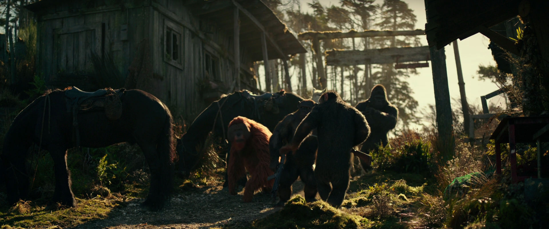 War for the Planet of the Apes (2017) movie still 3247