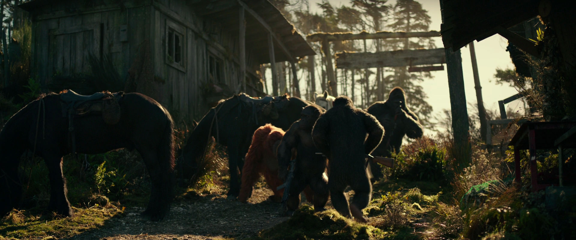 War for the Planet of the Apes (2017) HD screenshot 3248