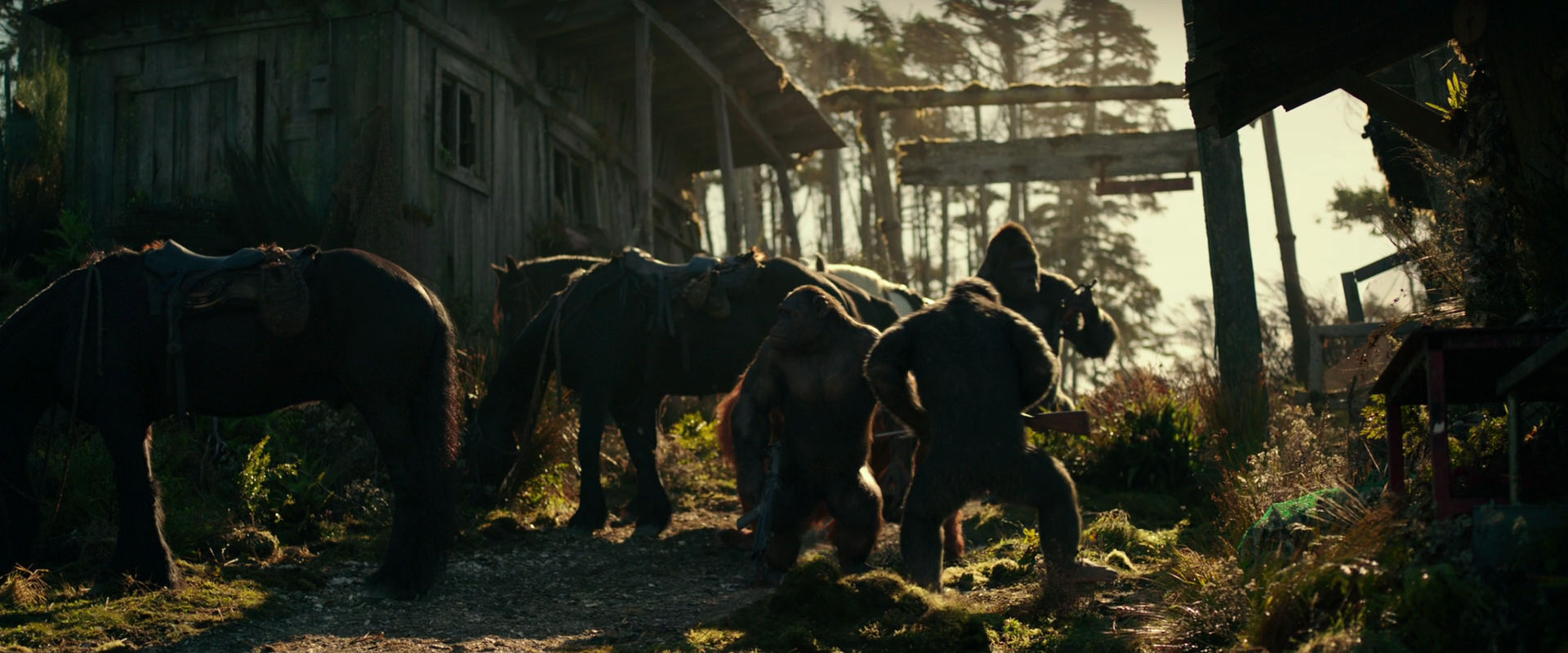 War for the Planet of the Apes (2017) screencap 3249