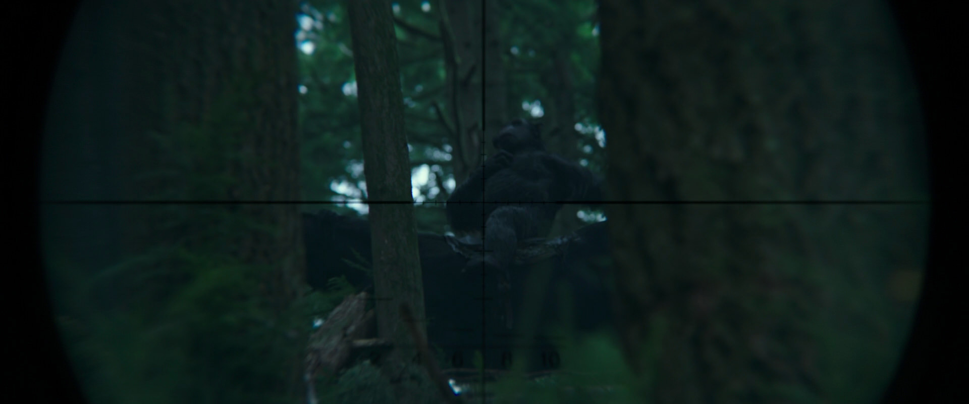 War for the Planet of the Apes (2017) movie still 325