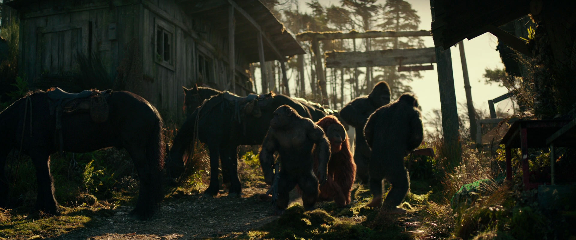 War for the Planet of the Apes (2017) movie still 3250