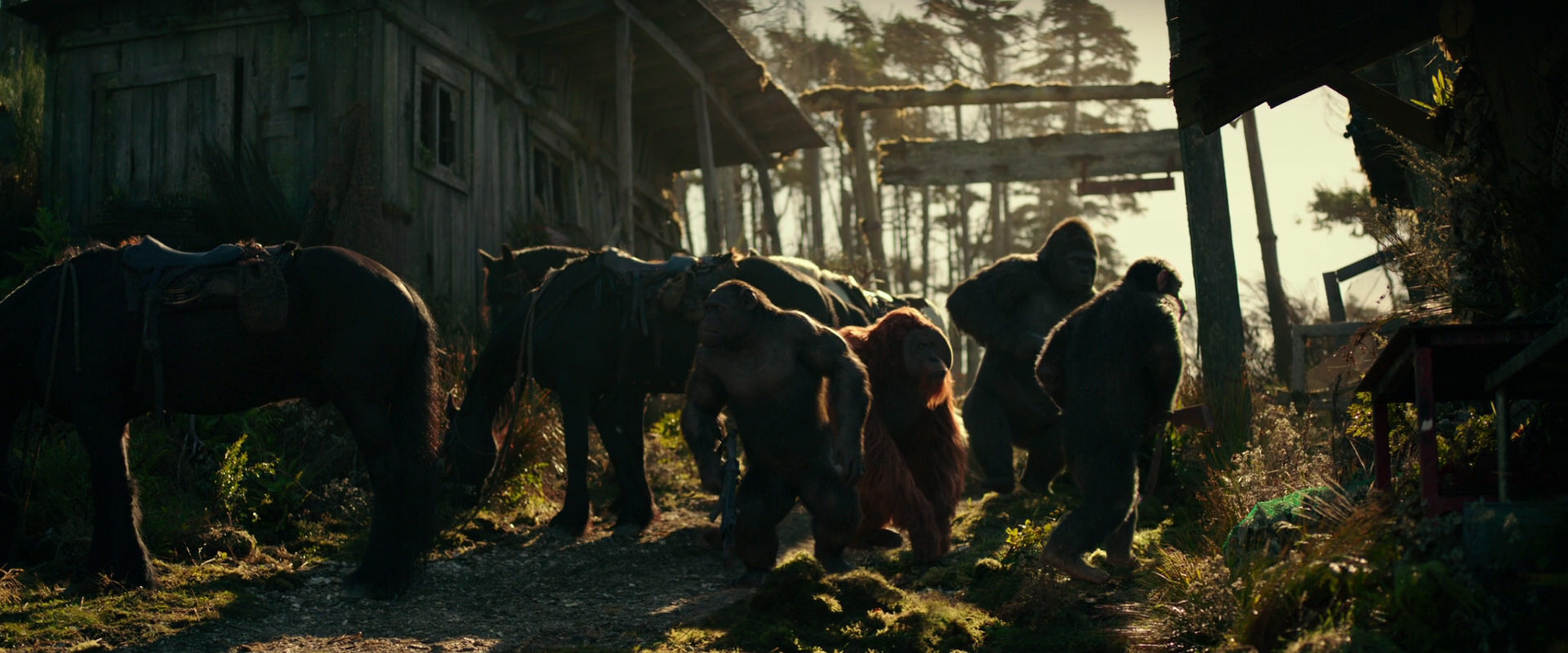 War for the Planet of the Apes (2017) HD screenshot 3251