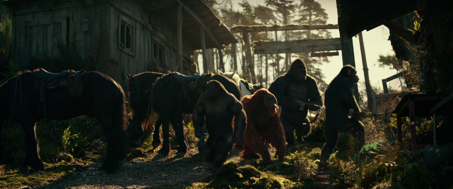 War for the Planet of the Apes (2017) screencap 3252