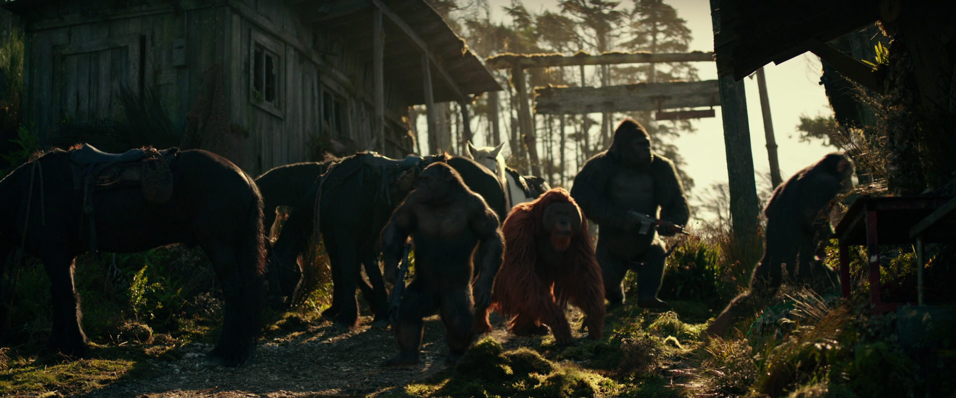 War for the Planet of the Apes (2017) movie still 3253