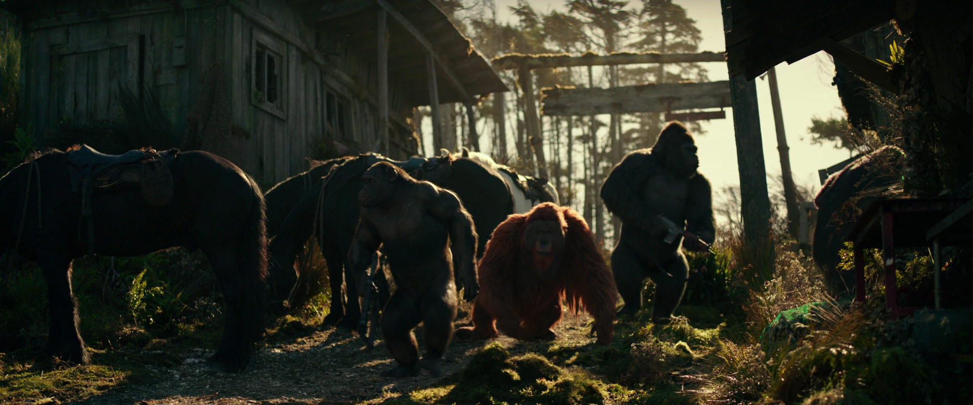 War for the Planet of the Apes (2017) HD screenshot 3254
