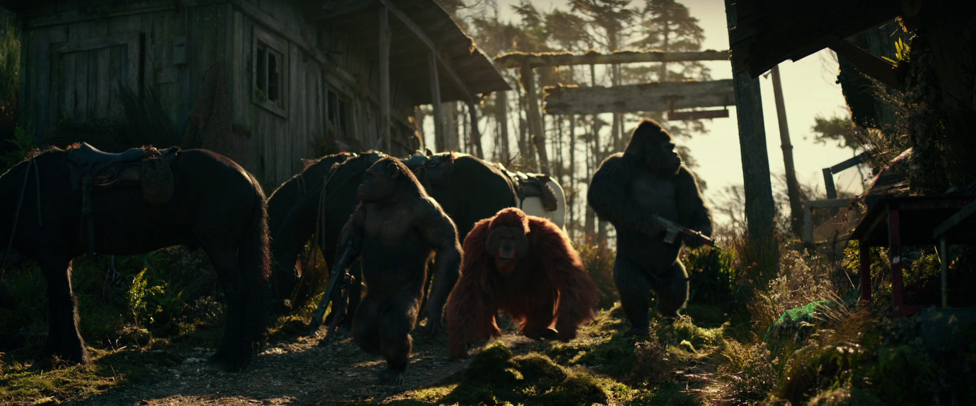War for the Planet of the Apes (2017) screencap 3255