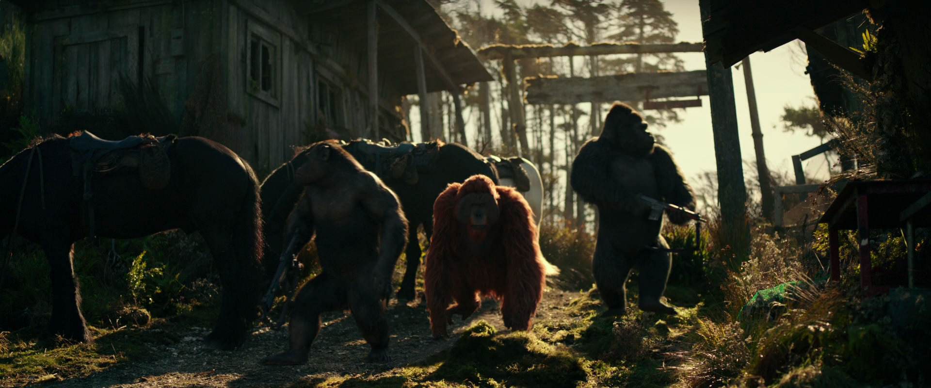 War for the Planet of the Apes (2017) movie still 3256