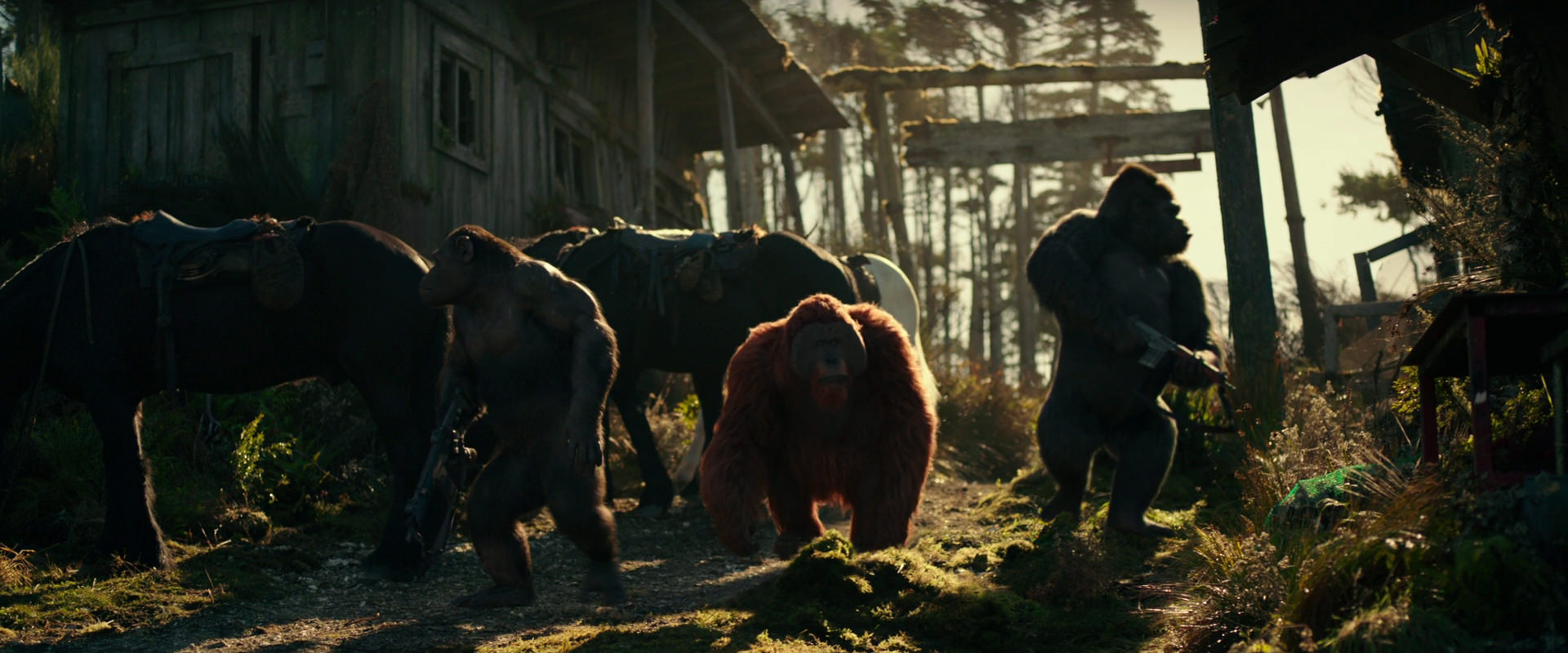 War for the Planet of the Apes (2017) HD screenshot 3257
