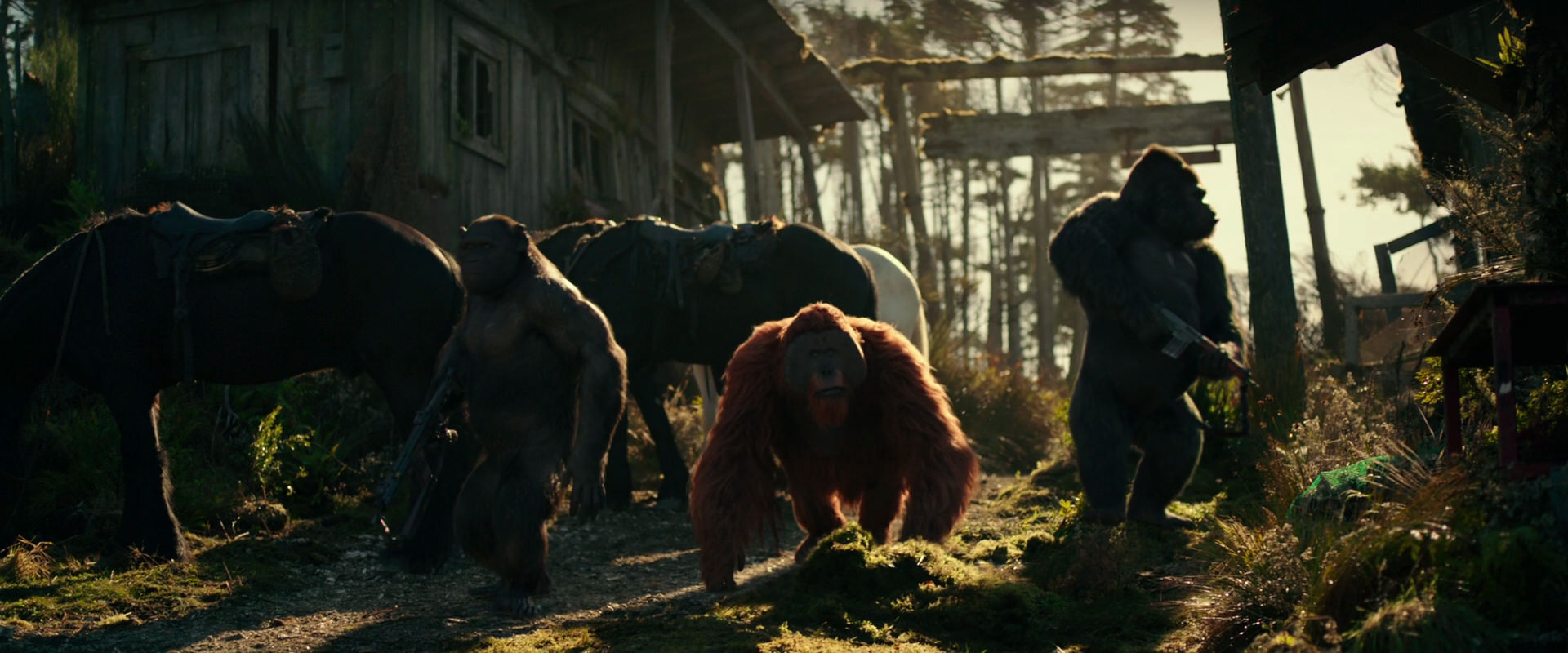 War for the Planet of the Apes (2017) screencap 3258