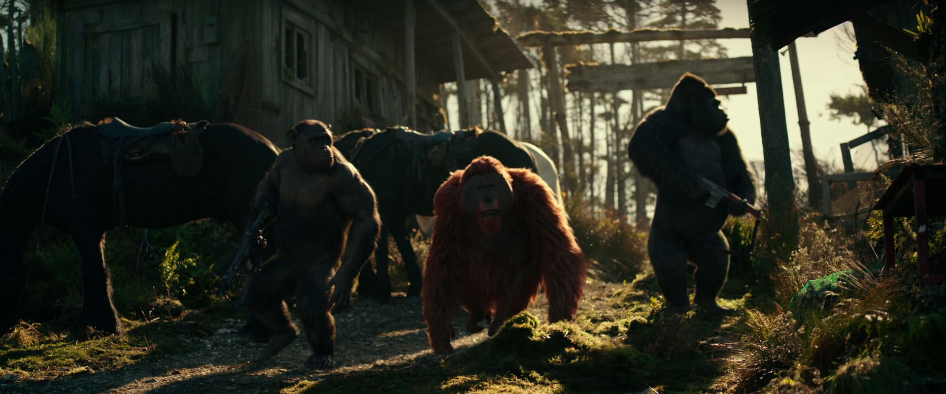 War for the Planet of the Apes (2017) movie still 3259