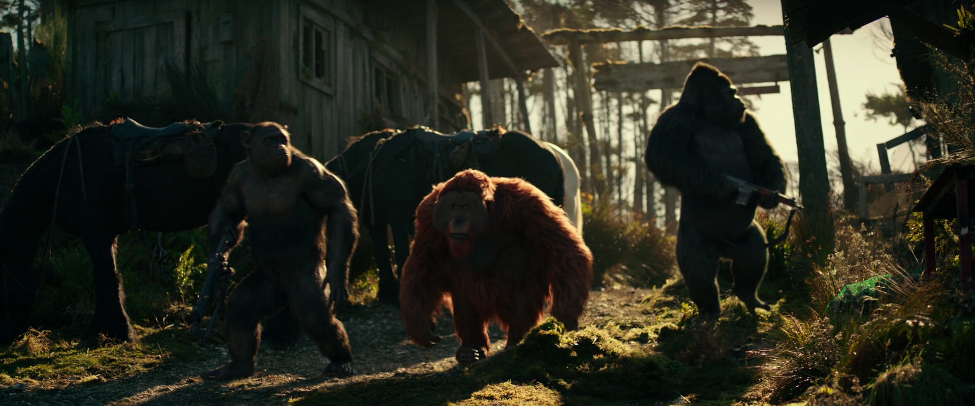 War for the Planet of the Apes (2017) HD screenshot 3260