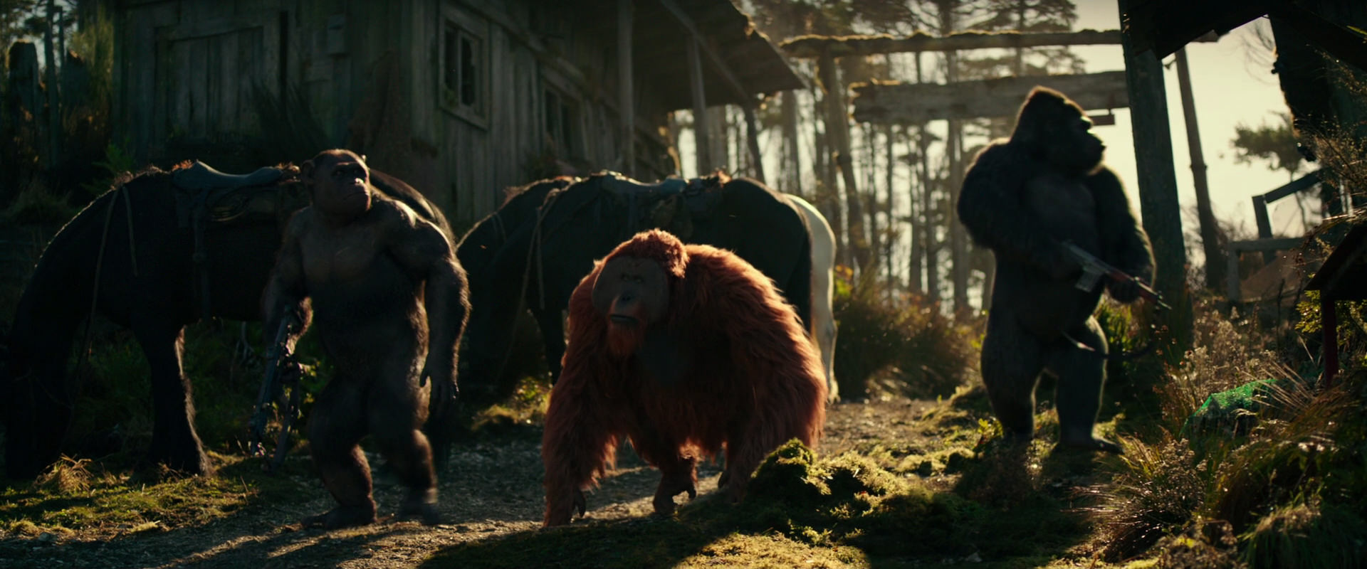 War for the Planet of the Apes (2017) screencap 3261
