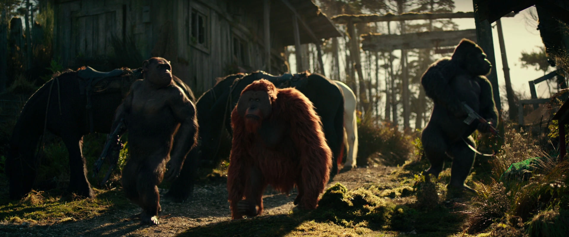 War for the Planet of the Apes (2017) movie still 3262