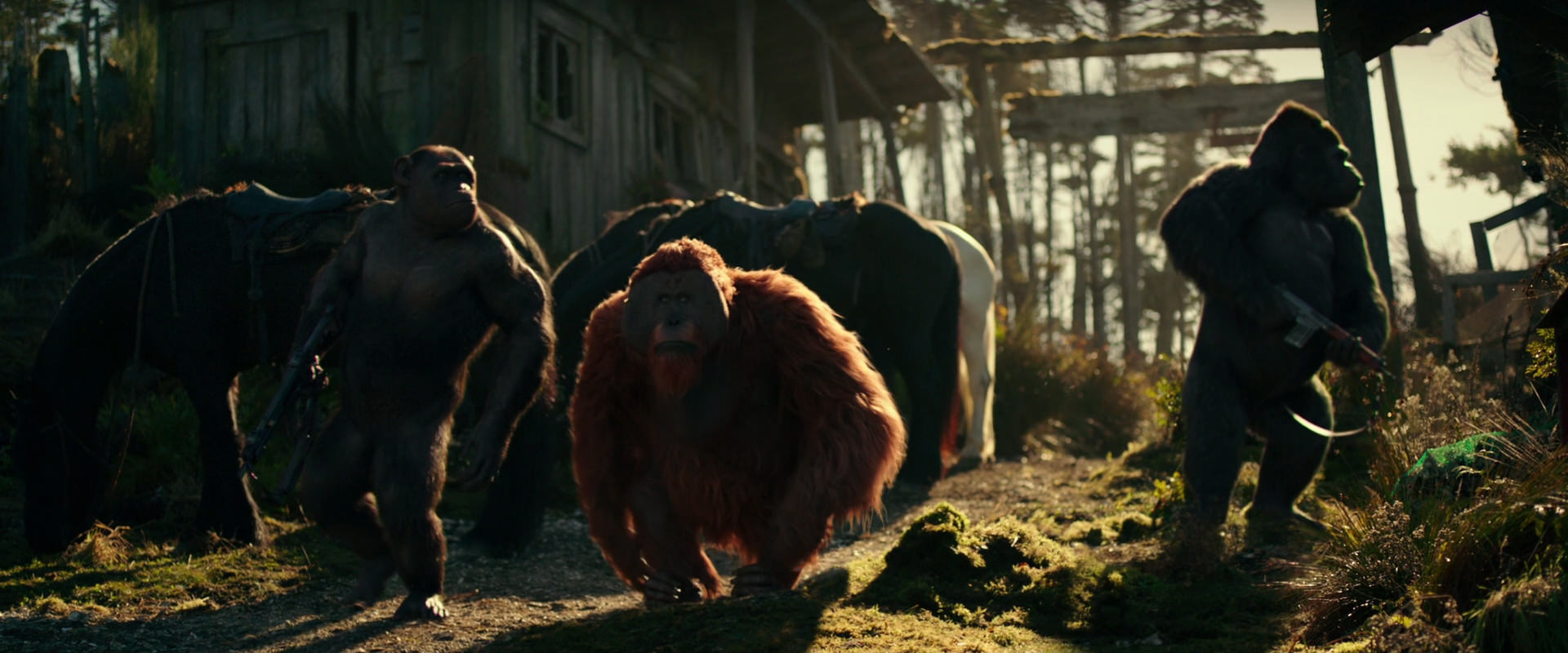 War for the Planet of the Apes (2017) HD screenshot 3263